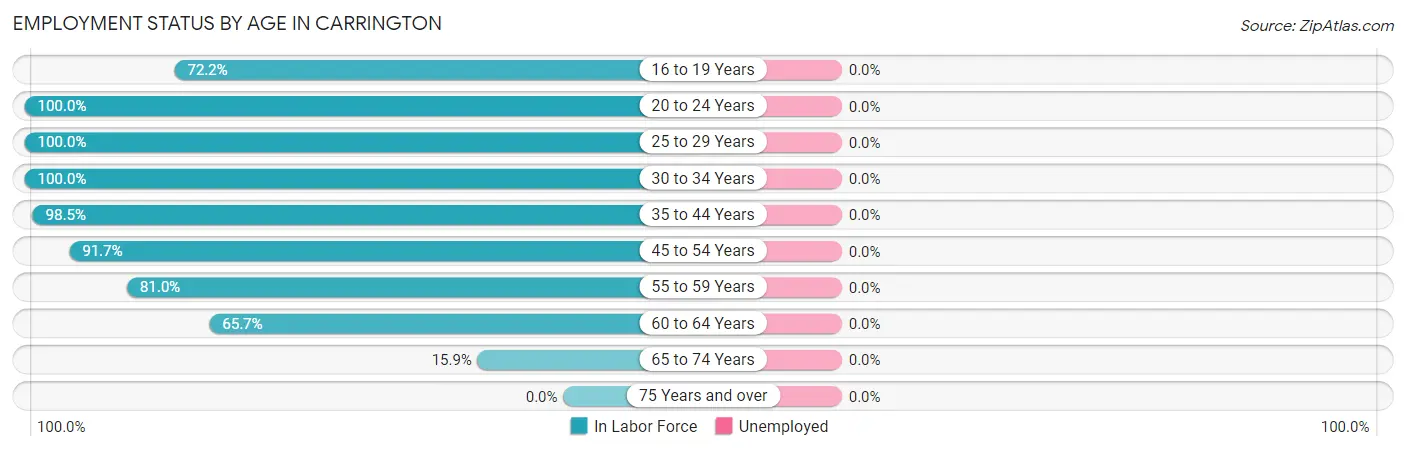 Employment Status by Age in Carrington