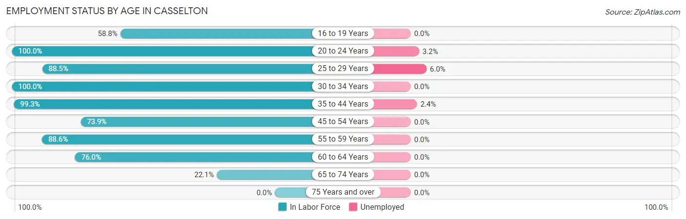 Employment Status by Age in Casselton