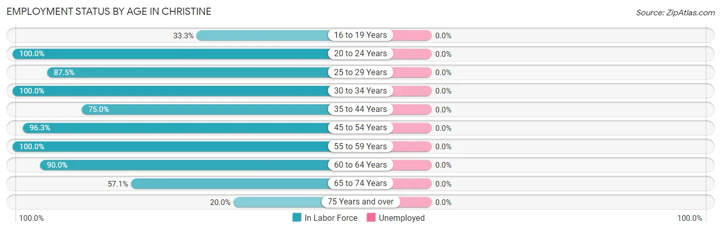 Employment Status by Age in Christine
