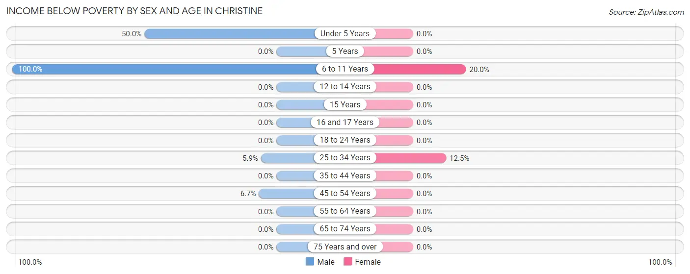 Income Below Poverty by Sex and Age in Christine