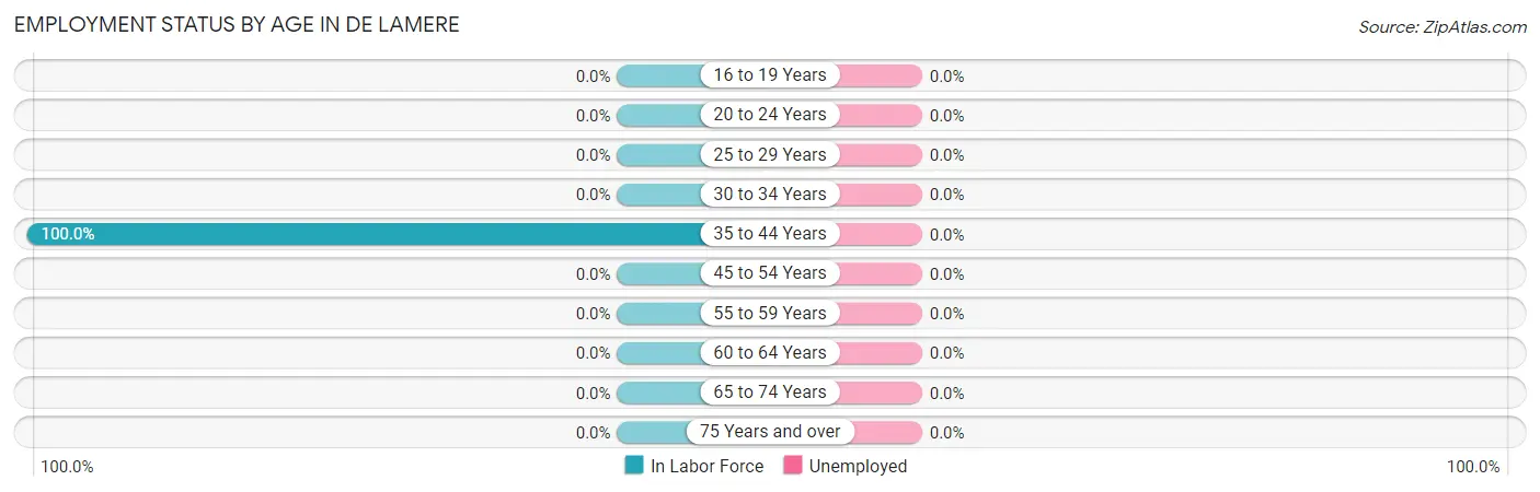 Employment Status by Age in De Lamere