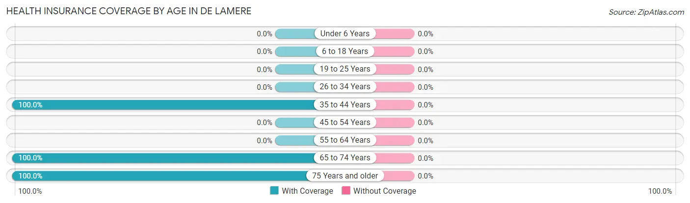 Health Insurance Coverage by Age in De Lamere