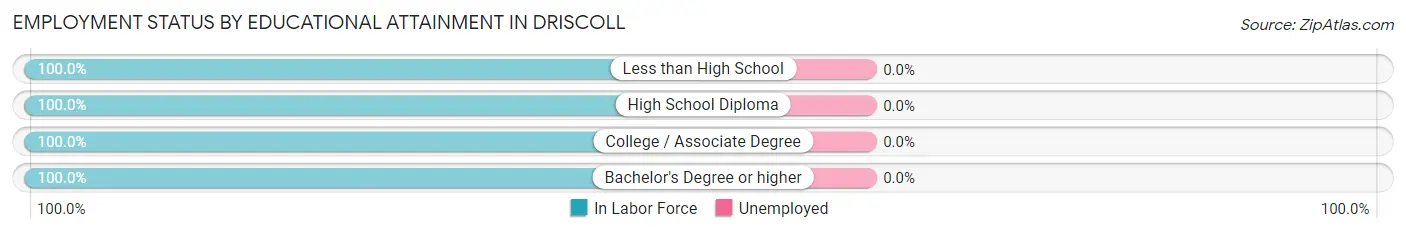 Employment Status by Educational Attainment in Driscoll