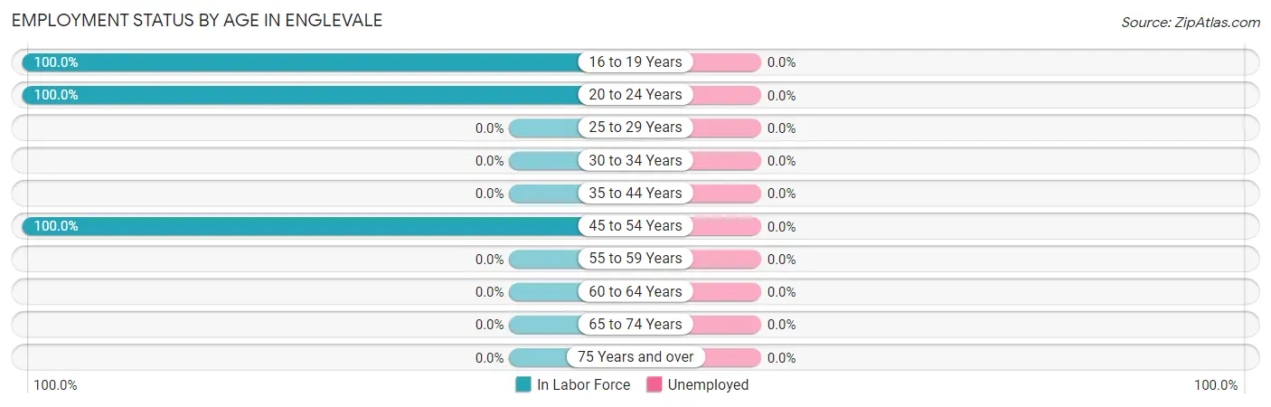 Employment Status by Age in Englevale