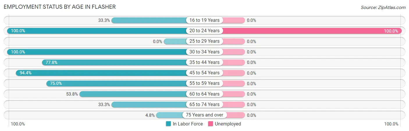 Employment Status by Age in Flasher