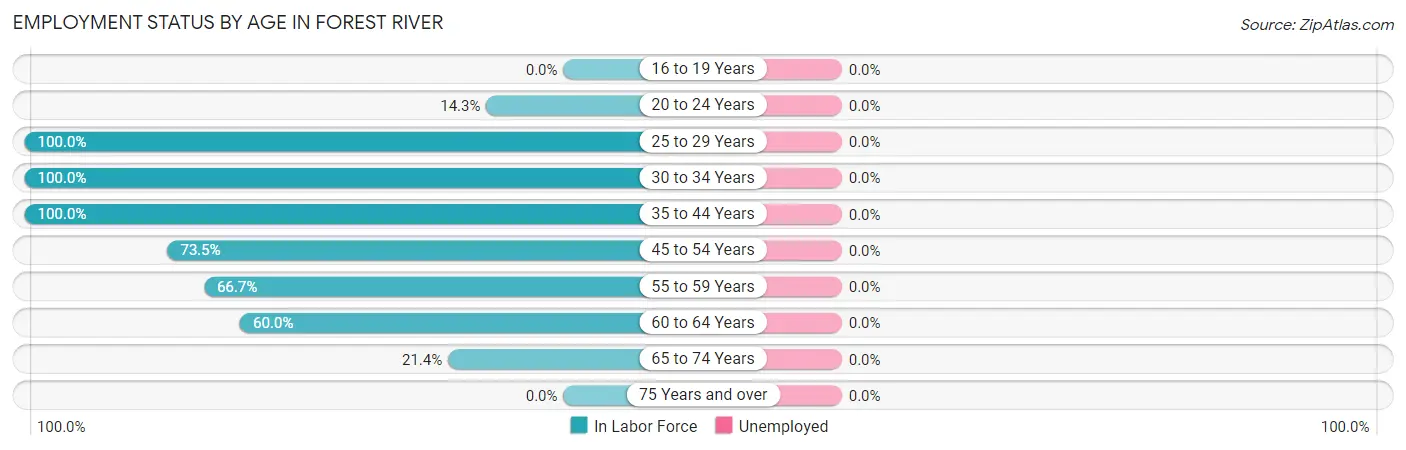 Employment Status by Age in Forest River