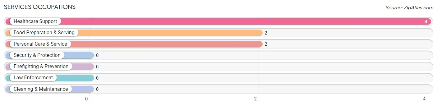 Services Occupations in Fort Ransom