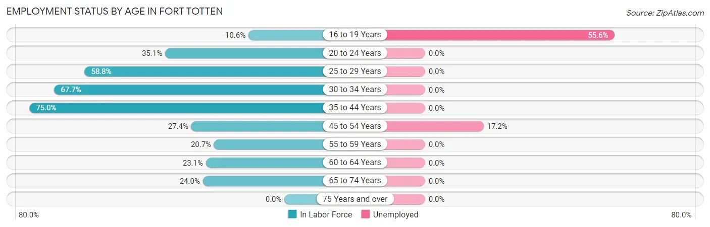 Employment Status by Age in Fort Totten