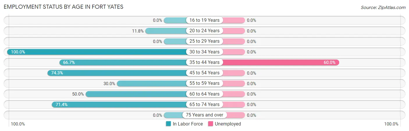 Employment Status by Age in Fort Yates
