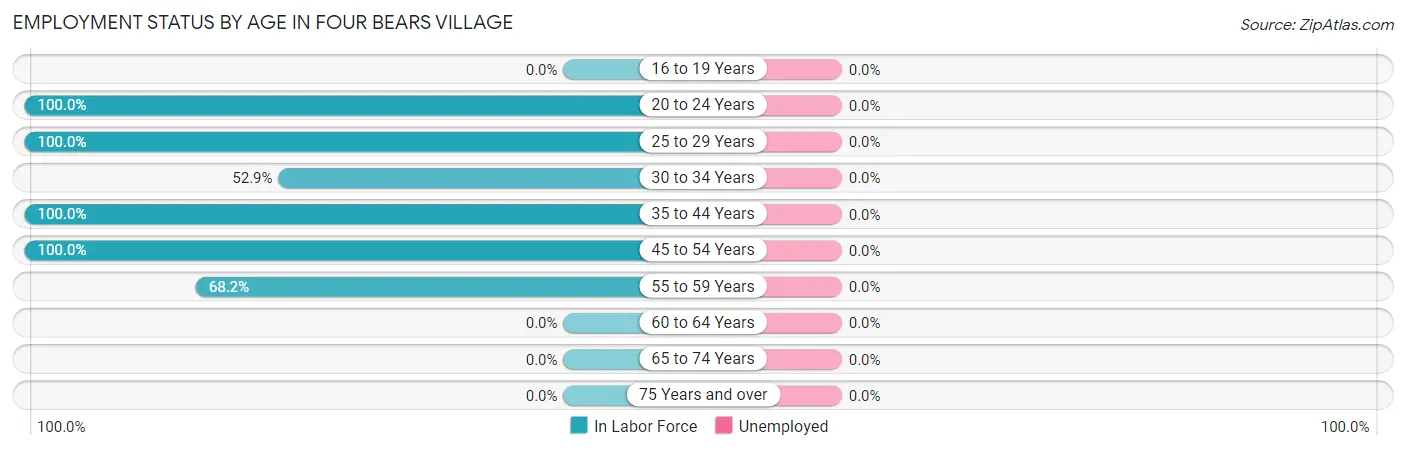 Employment Status by Age in Four Bears Village