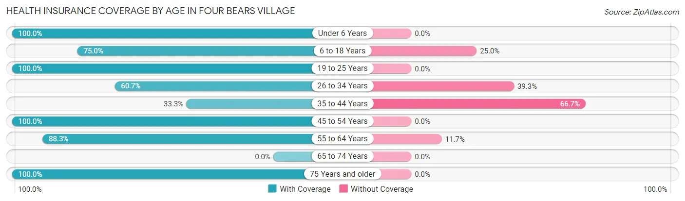 Health Insurance Coverage by Age in Four Bears Village