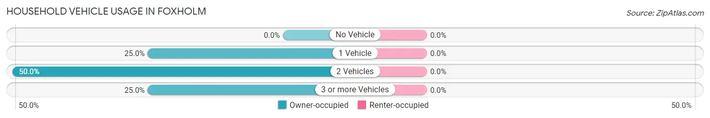 Household Vehicle Usage in Foxholm