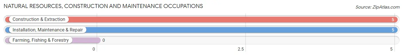 Natural Resources, Construction and Maintenance Occupations in Foxholm