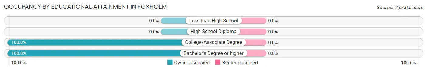 Occupancy by Educational Attainment in Foxholm