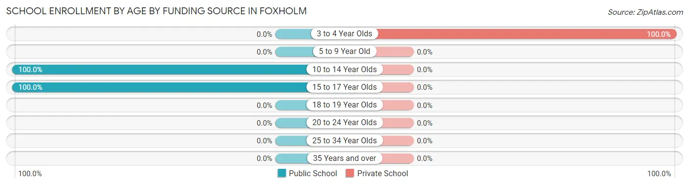 School Enrollment by Age by Funding Source in Foxholm