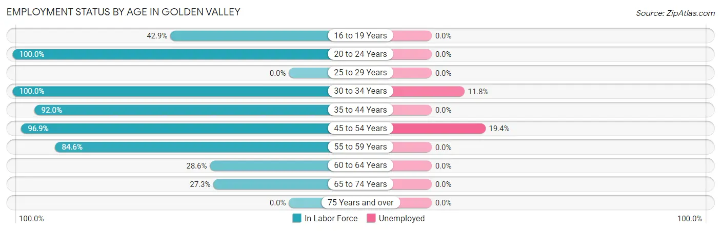 Employment Status by Age in Golden Valley