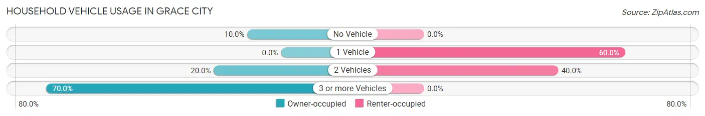 Household Vehicle Usage in Grace City