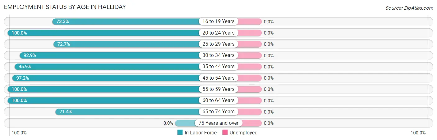 Employment Status by Age in Halliday
