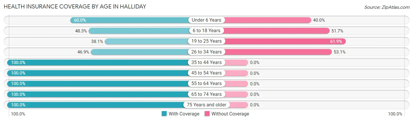 Health Insurance Coverage by Age in Halliday