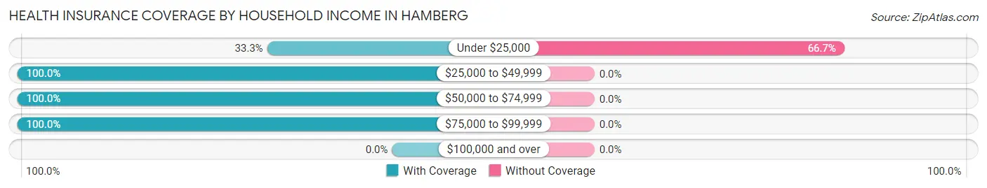 Health Insurance Coverage by Household Income in Hamberg