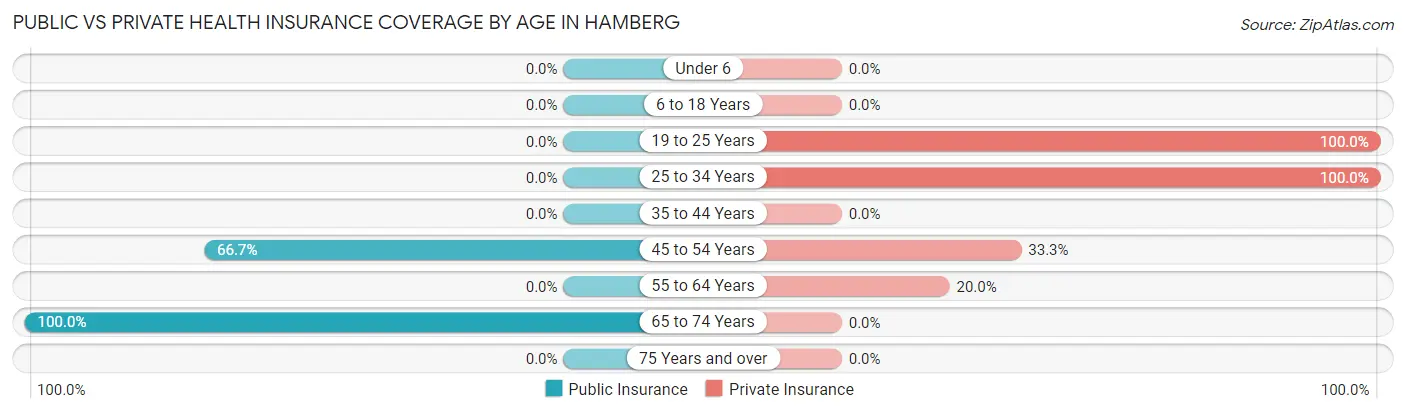 Public vs Private Health Insurance Coverage by Age in Hamberg