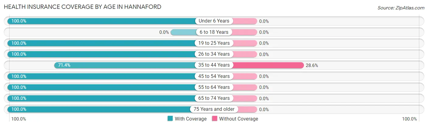 Health Insurance Coverage by Age in Hannaford