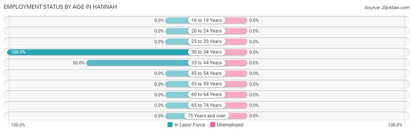 Employment Status by Age in Hannah
