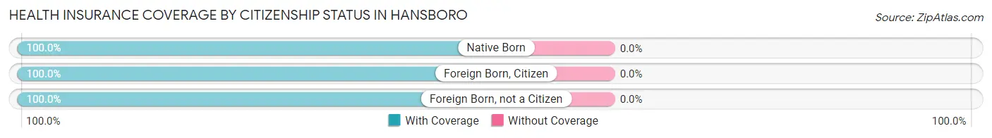 Health Insurance Coverage by Citizenship Status in Hansboro