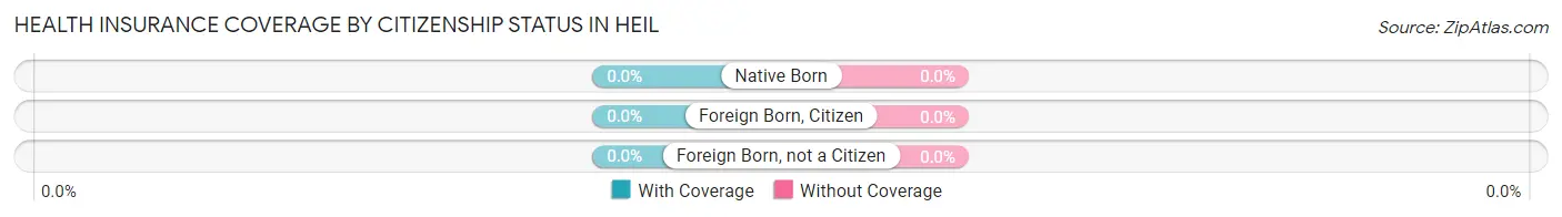 Health Insurance Coverage by Citizenship Status in Heil