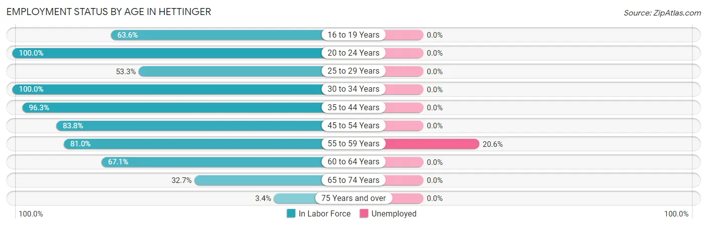 Employment Status by Age in Hettinger