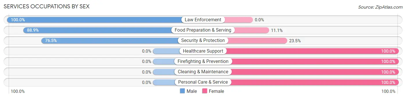 Services Occupations by Sex in Hettinger
