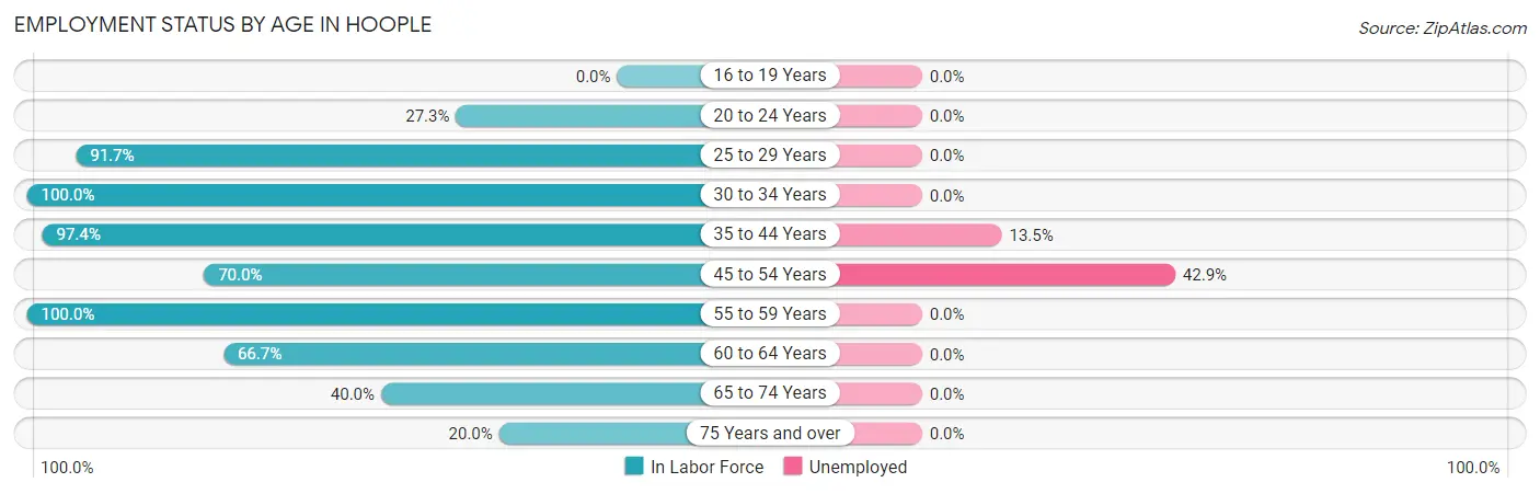 Employment Status by Age in Hoople