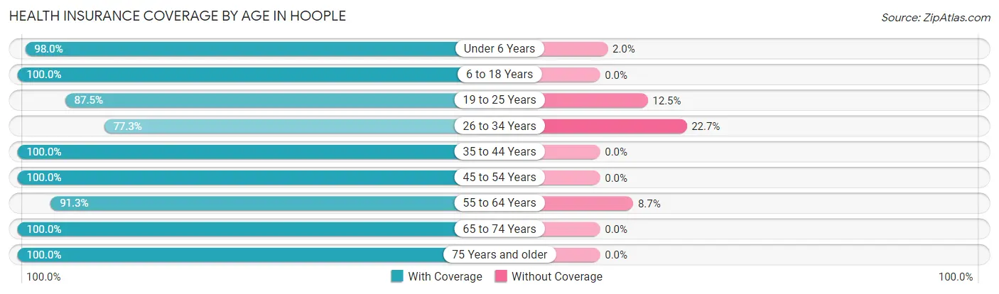 Health Insurance Coverage by Age in Hoople