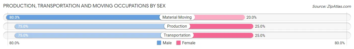 Production, Transportation and Moving Occupations by Sex in Hoople