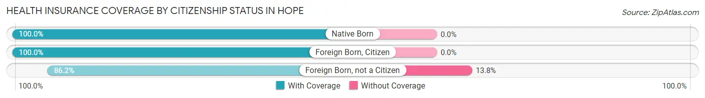 Health Insurance Coverage by Citizenship Status in Hope