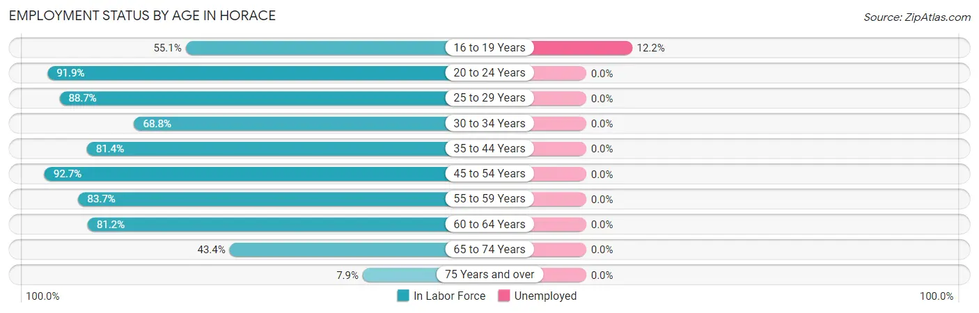 Employment Status by Age in Horace