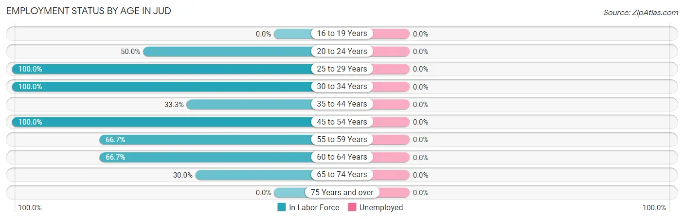 Employment Status by Age in Jud