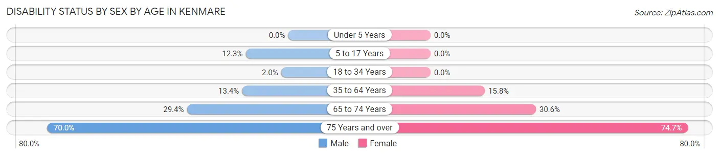 Disability Status by Sex by Age in Kenmare