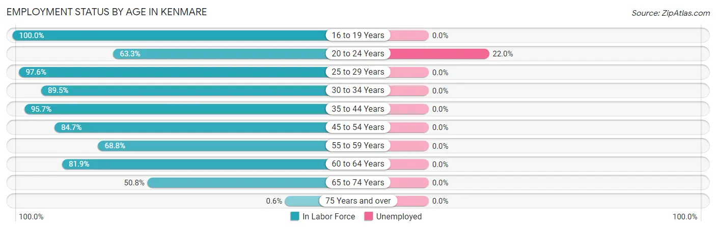 Employment Status by Age in Kenmare