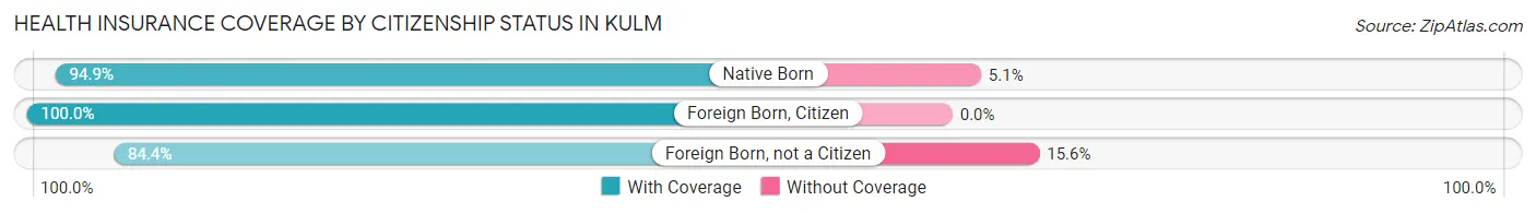 Health Insurance Coverage by Citizenship Status in Kulm