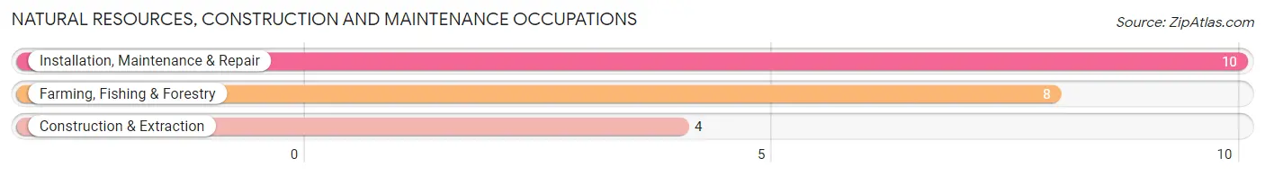 Natural Resources, Construction and Maintenance Occupations in Kulm