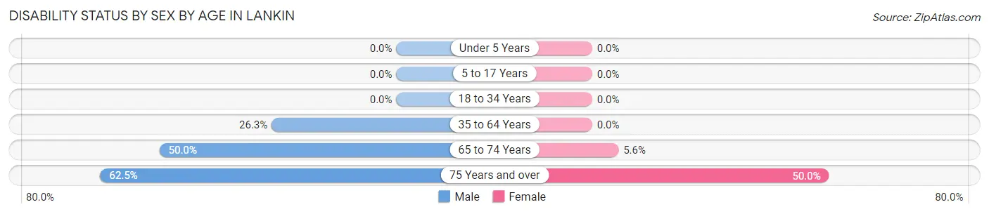 Disability Status by Sex by Age in Lankin