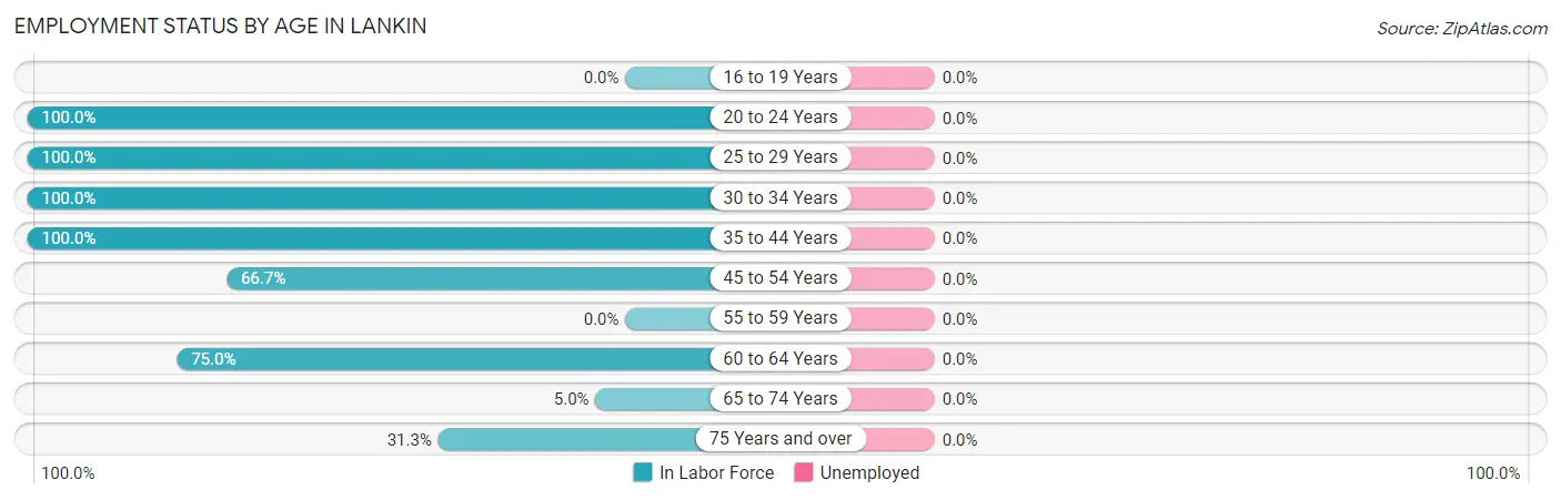 Employment Status by Age in Lankin