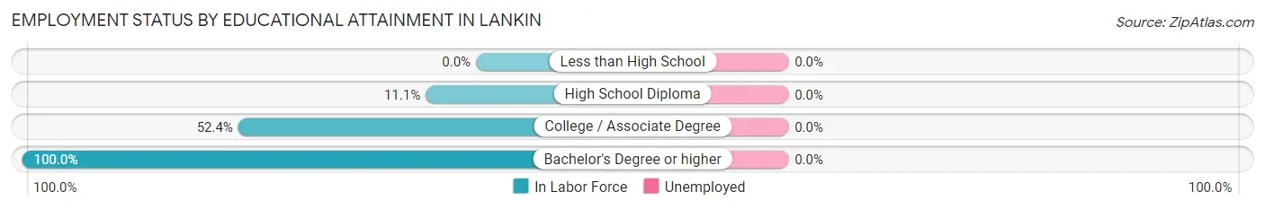 Employment Status by Educational Attainment in Lankin