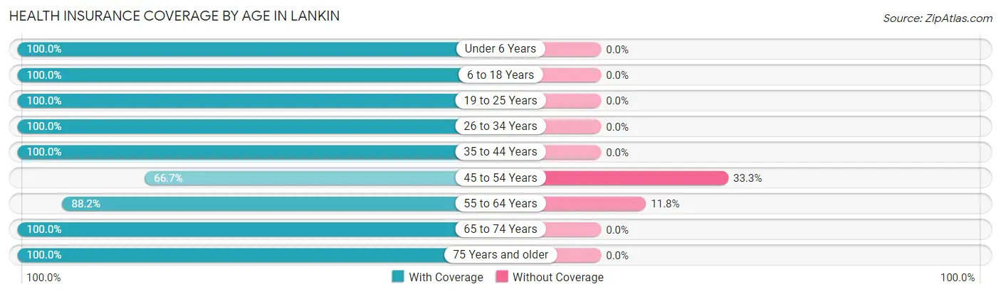 Health Insurance Coverage by Age in Lankin
