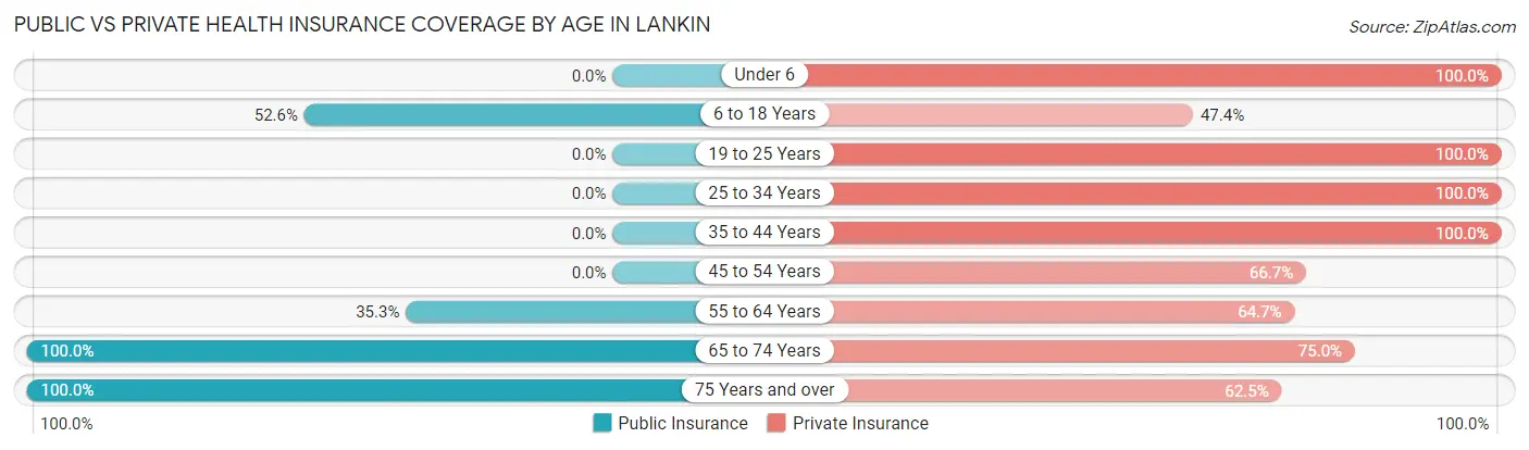 Public vs Private Health Insurance Coverage by Age in Lankin