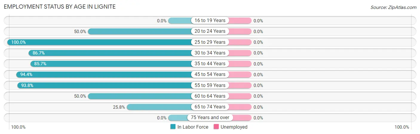 Employment Status by Age in Lignite