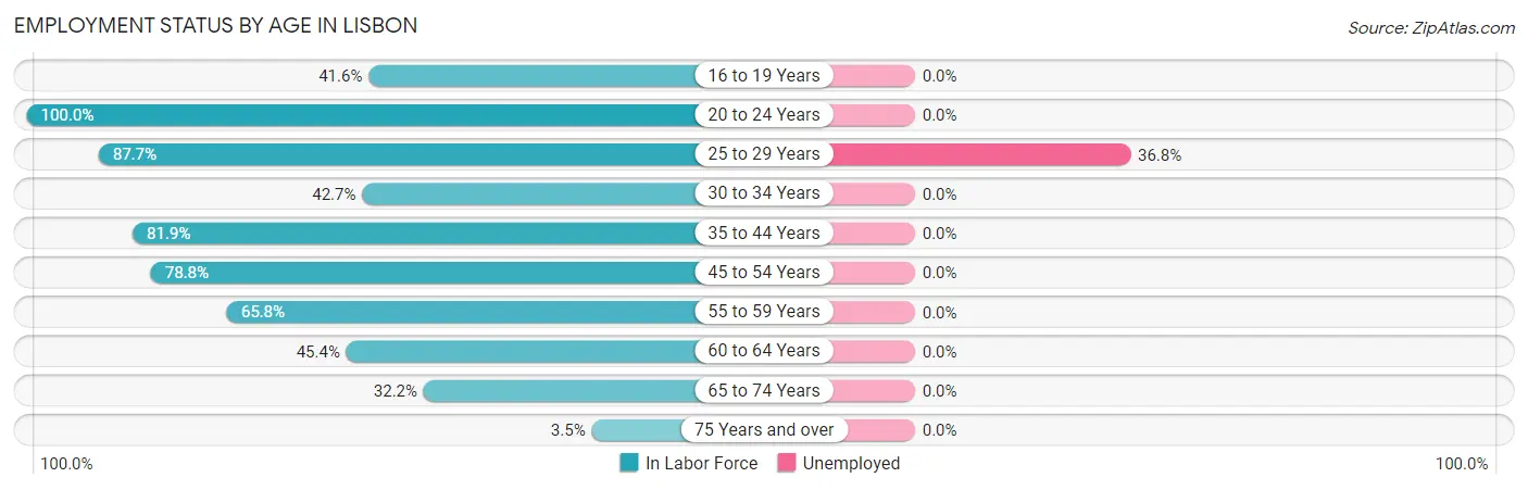 Employment Status by Age in Lisbon