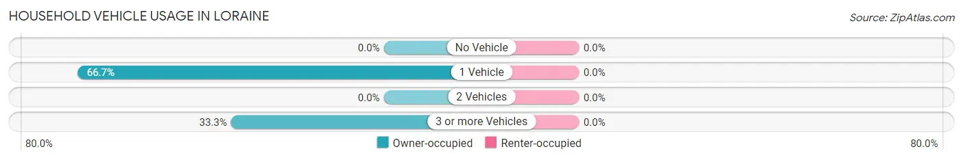 Household Vehicle Usage in Loraine