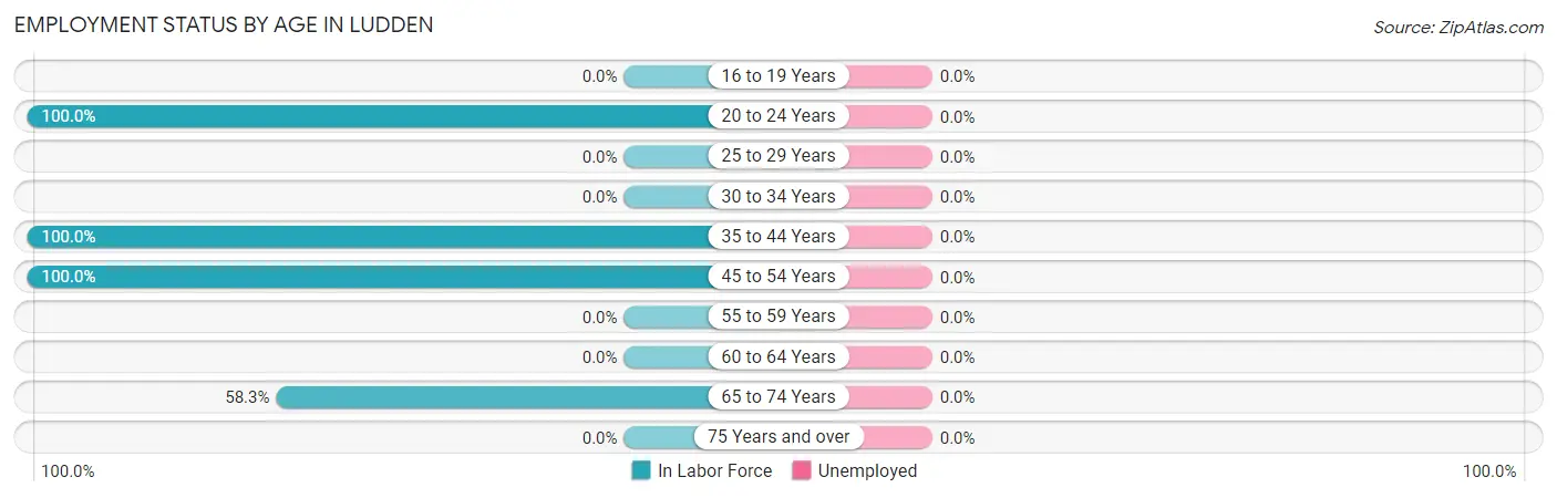 Employment Status by Age in Ludden